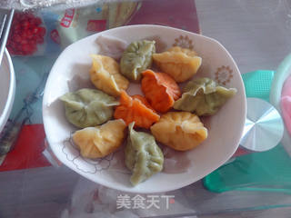 三色双菇鲈鱼饺子的做法步骤:19