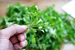 荠菜饺子的做法步骤:5