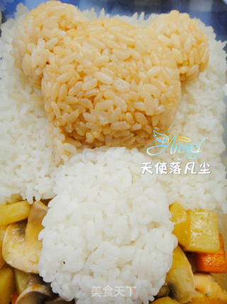 晚安小熊熊——轻松熊咖喱饭的做法步骤:15