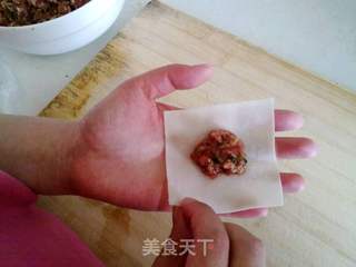 牛肉云吞的做法步骤:4