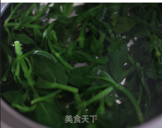 春天里的祛火野菜——姜末穿心莲的做法步骤:2