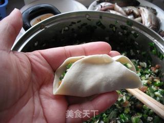 春韭白菜水饺的做法步骤:13