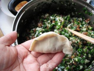 春韭白菜水饺的做法步骤:14