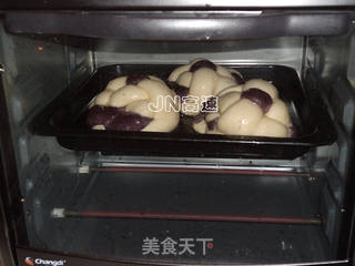 双色杂粮小餐包的做法步骤:14