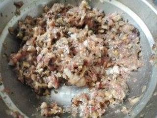 黑白配-----香菇猪肉包子的做法步骤:5