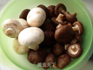 杏鲍菇饺子的做法步骤：3