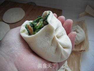 美味杂蔬猪肉包子的做法步骤:12