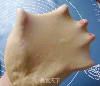 乌龟全麦包的做法步骤:3