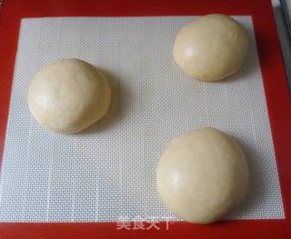 乌龟全麦包的做法步骤:6