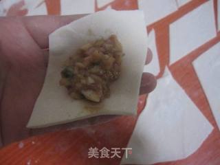 杏鲍菇猪肉馅儿的小馄饨的做法步骤：11