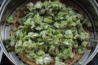 又到了吃【榆钱儿饭】的季节喽!的做法步骤:5