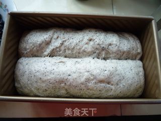 豆渣再利用—黑豆渣吐司的做法步骤：6