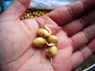 自发黄豆芽的做法步骤:9