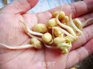 自发黄豆芽的做法步骤:10
