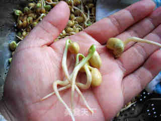 自发黄豆芽的做法步骤:11