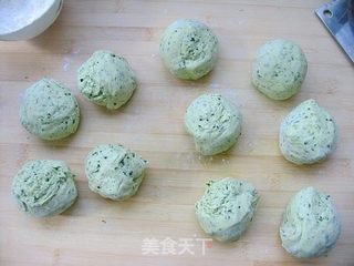 馒头也野菜——苜蓿馒头的做法步骤:5
