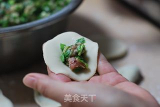 清甜鲜嫩、令人齿颊生香的【榆钱馅饺子】的做法步骤:7