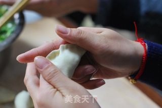 清甜鲜嫩、令人齿颊生香的【榆钱馅饺子】的做法步骤：8