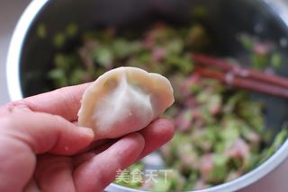 清甜鲜嫩、令人齿颊生香的【榆钱馅饺子】的做法步骤:9