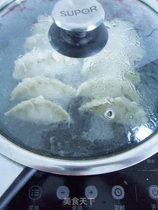 香喷喷滴美味【秘制梅香煎饺】的做法步骤:10