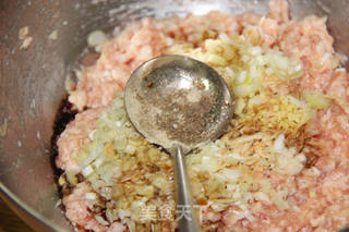 清香诱人的口感--【豆角猪肉饺】的做法步骤:9