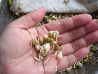 如何在低温季节生发绿豆芽的做法步骤:8