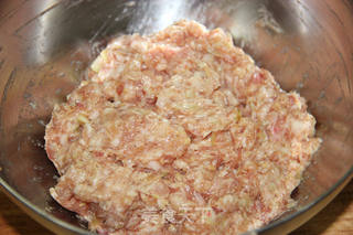 清香诱人的口感--【豆角猪肉饺】的做法步骤:10