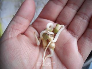 如何在低温季节生发绿豆芽的做法步骤:10