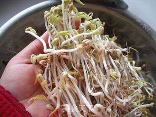 如何在低温季节生发绿豆芽的做法步骤:17