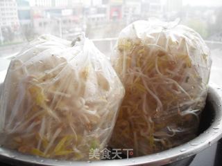 如何在低温季节生发绿豆芽的做法步骤:22