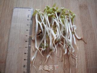 如何在低温季节生发绿豆芽的做法步骤:19