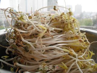 如何在低温季节生发绿豆芽的做法步骤:18
