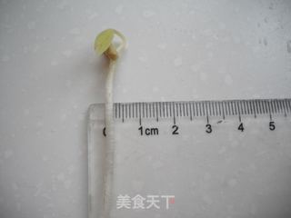 如何在低温季节生发绿豆芽的做法步骤:20