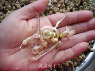 如何在低温季节生发绿豆芽的做法步骤:14