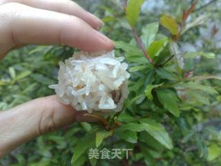 糯米小丸子的做法步骤:14