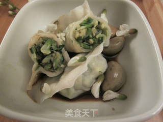 荤素两款槐花饺子的做法步骤:17