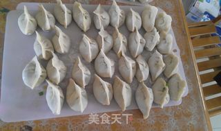 韭菜煎饺和水饺的做法步骤：4