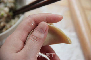 换着花样吃饺子~【美味蒸饺】的做法步骤:15