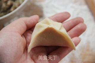 换着花样吃饺子~【美味蒸饺】的做法步骤：16