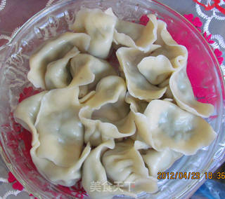 茴香饺子的做法步骤:10