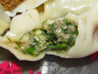茴香饺子的做法步骤:11