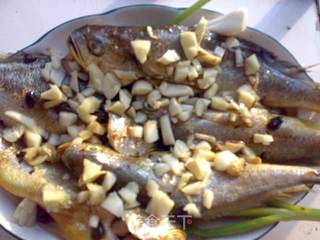虾鲜酱清蒸黄鱼的做法步骤:7