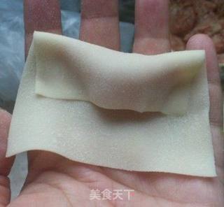 给老妈的礼物--亲手包的纯肉小馄饨的做法步骤:5