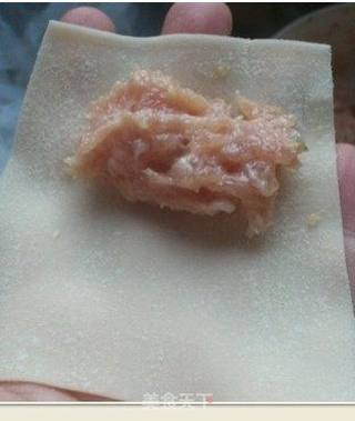 给老妈的礼物--亲手包的纯肉小馄饨的做法步骤:4