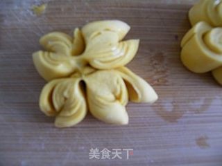 馒头花样蒸---菊花馒头的做法步骤：7