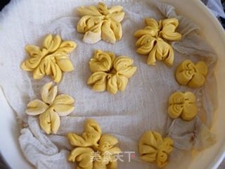 馒头花样蒸---菊花馒头的做法步骤：8