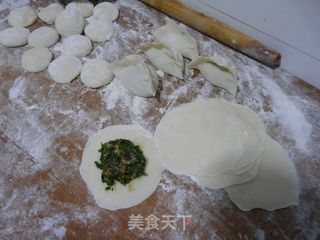 野菜美食——荠荠菜水饺的做法步骤：7