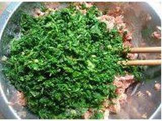 荠菜饺子的做法步骤：8