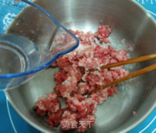 鲜肉包子的做法步骤:12