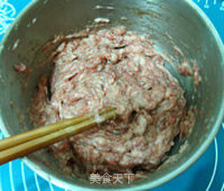 鲜肉包子的做法步骤:15
